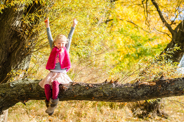 sitting in the tree branch with hands up in autumnal sunset atmosphere - 写真・画像
