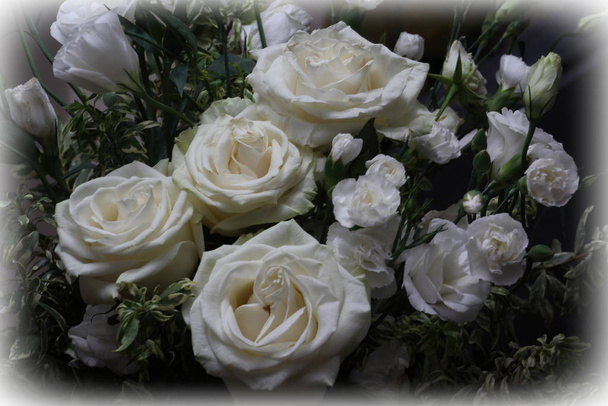 Дизайн створив фотографії білих троянд букет для валентинки
 - Фото, зображення