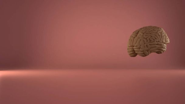 Ludzki unoszący się mózg na różowym tle, ludzka inteligencja, anatomiczny model. Przestrzeń kopiowania - Zdjęcie, obraz