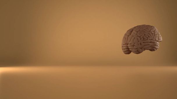Human floating brain on yellow background, human intelligence concept, anatomical accurate model. Copy space - Photo, Image