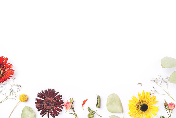 Frame of dry flowers on white background. - Photo, Image