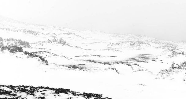 Деталі зимового дня на горі Естрела (Центральна Португалія). - Фото, зображення
