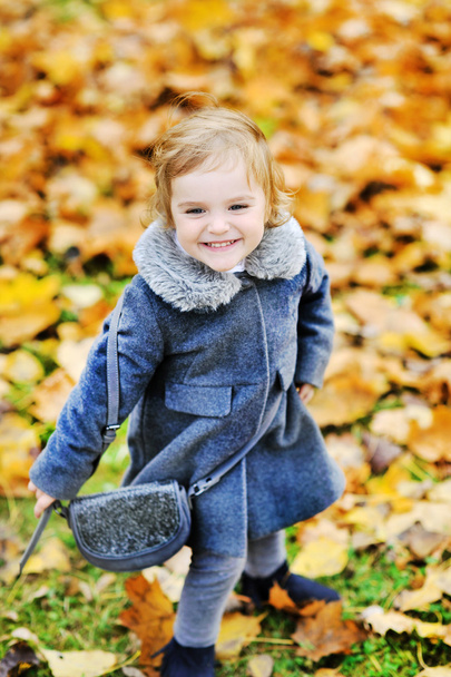 Cute little girl playing in autumn park - Fotó, kép