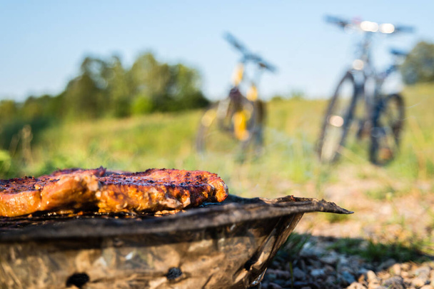 Barbecue jetable dans la nature
 - Photo, image
