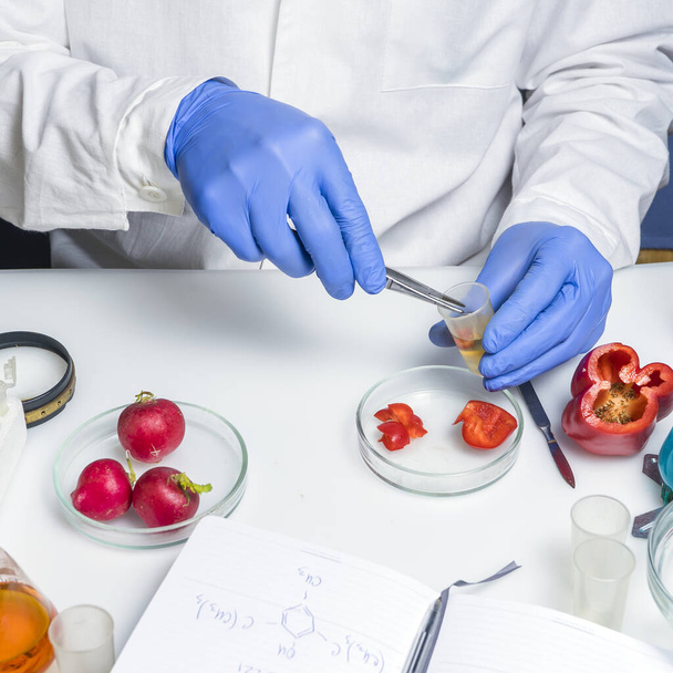 Quality control food safety inspector working in a laboratory - Fotografie, Obrázek