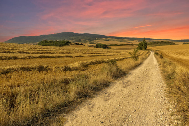 A estrada para Santiago em Navarra ao amanhecer
 - Foto, Imagem