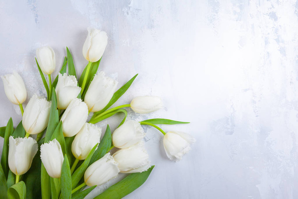 Beautiful white tulips flowers for holiday. - Fotoğraf, Görsel