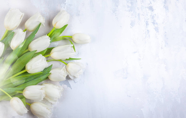 Beautiful white tulips flowers for holiday. - Photo, Image