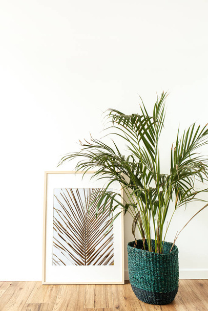 Fotoğraf çerçevesinin önünde ev bitkisi tropikal palmiye ağacının içinde. Asgari modern iç tasarım kavramı. - Fotoğraf, Görsel