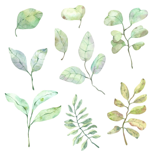 Delicate clipart with watercolor leaves and branches of various colors for the design of postcards, printing, linen, fabrics, souvenirs and any design - Valokuva, kuva