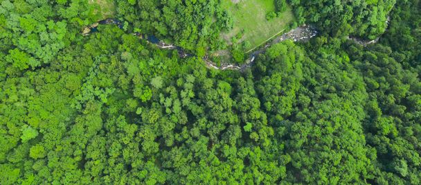 Зелений ліс і тече річка, вид з повітря. Текстура зеленого лісу
 - Фото, зображення