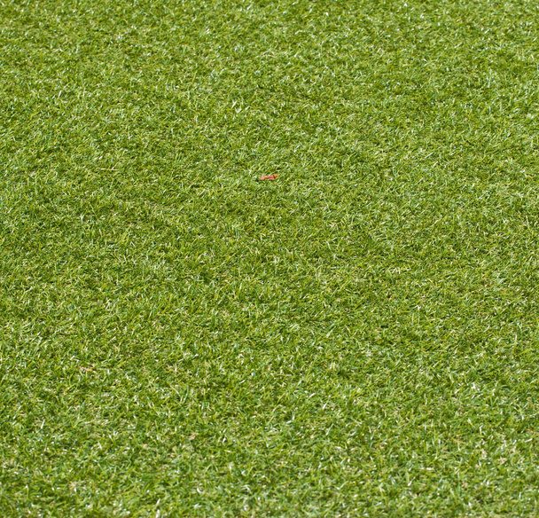 Artificial rolled green grass - Photo, Image