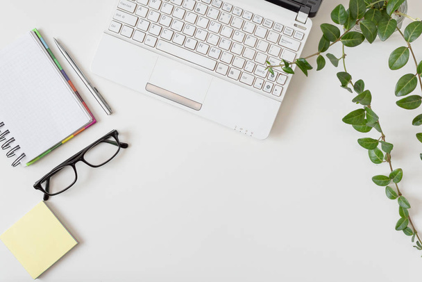 Werkruimte met laptop, dagboek en andere objecten op witte achtergrond. Stijlvol bureau in witte kleur met bloempot. - Foto, afbeelding
