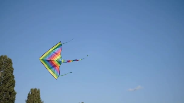 Een veelkleurige vlieger vliegt in de zomer lucht in een park. - Video