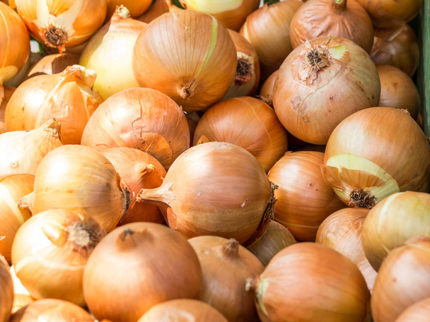 vegetable Onion on the market - Fotografie, Obrázek