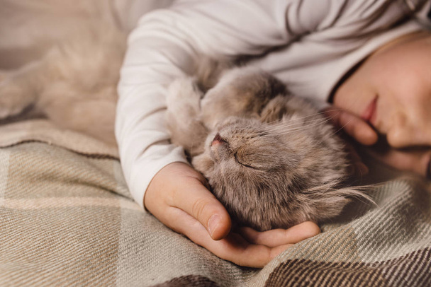 Fiú és macska. Skót hajtogatós macska egy fiú karjaiban. A háziállat fogalma a családnevelésben és a szerető otthonban. Vízszintes. - Fotó, kép