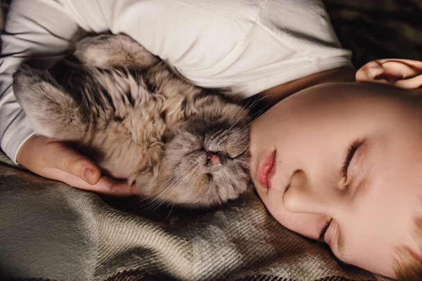 Jongen en kat. Schotse vouwkat in de armen van een jongen. Het concept van een huisdier in familiale opvoeding en een liefdevol huis. Horizontaal. - Foto, afbeelding