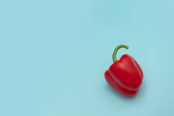 Red pepper on blue background - Foto, Imagen