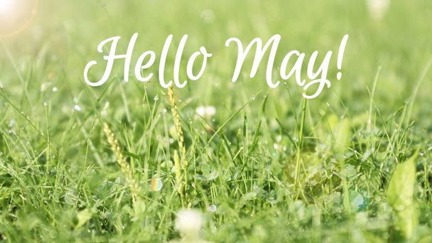 Hello may card - Fotoğraf, Görsel