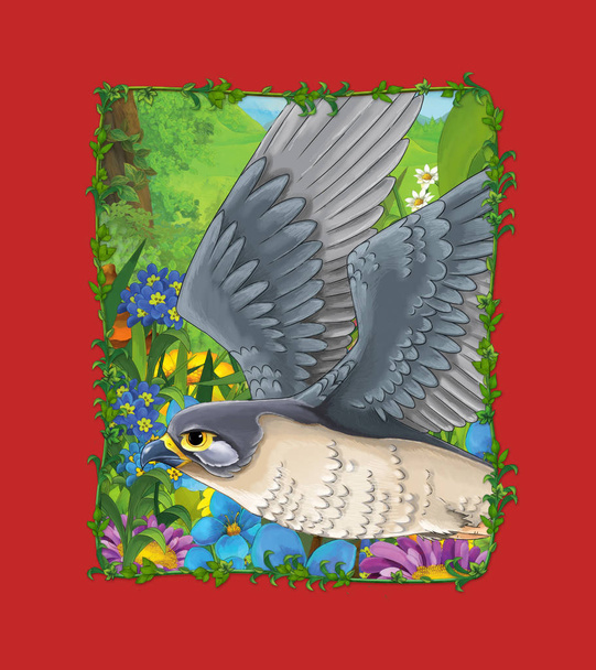 cartoon scene with beautiful bird on the meadow - falcon - illus - Foto, afbeelding