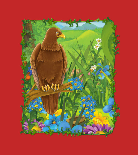 cartoon scene with beautiful bird on the meadow - eagle - illustration - Photo, image