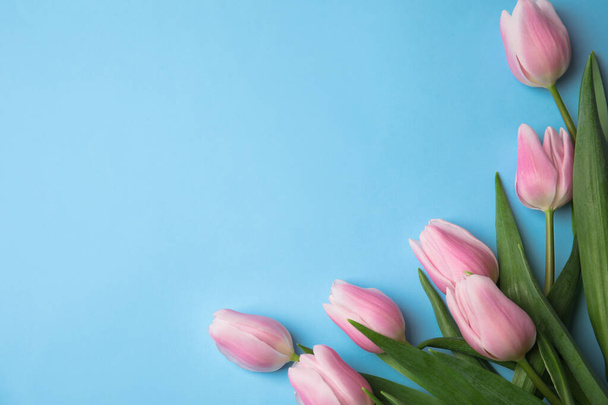 Beautiful pink spring tulips on light blue background, flat lay. - Фото, зображення