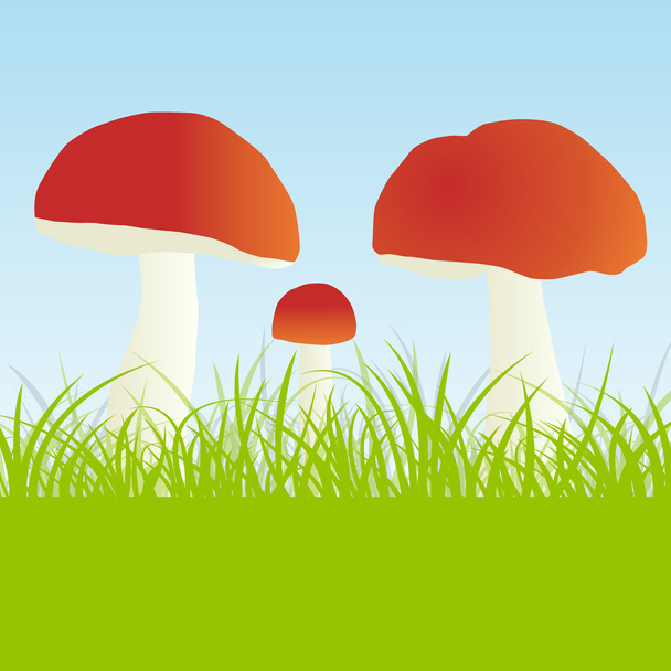 Mushrooms vector background - Vector, Image