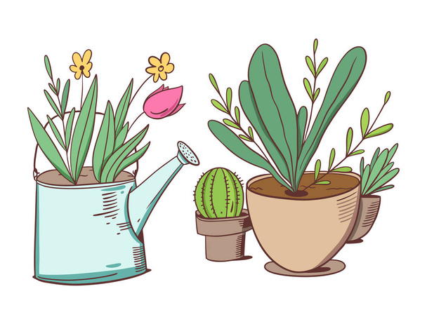 Flower in watering can and green plants in home pots. Vector illustration in cartoon style. - Vector, Image