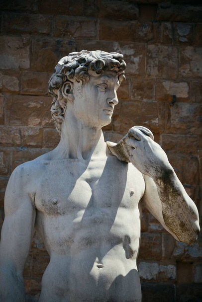 Statua David a Firenze
 - Foto, immagini