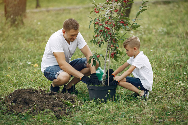 Otec s malým synem sázejí strom na dvoře. - Fotografie, Obrázek