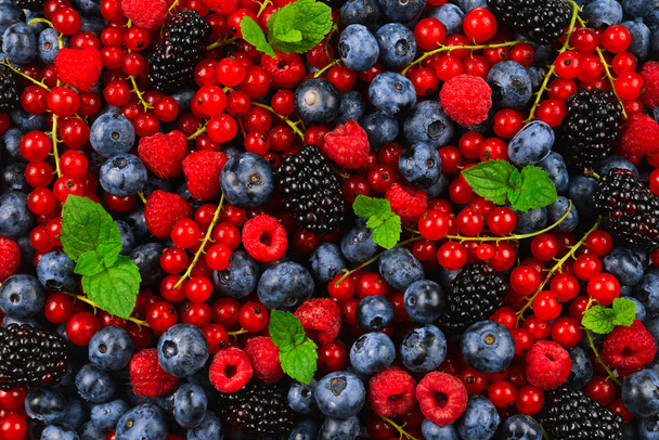 Blackberry, frambuesa, arándano, grosella roja y menta backgrou
 - Foto, Imagen
