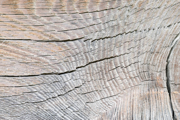 Texture image of an old wooden log - Fotografie, Obrázek