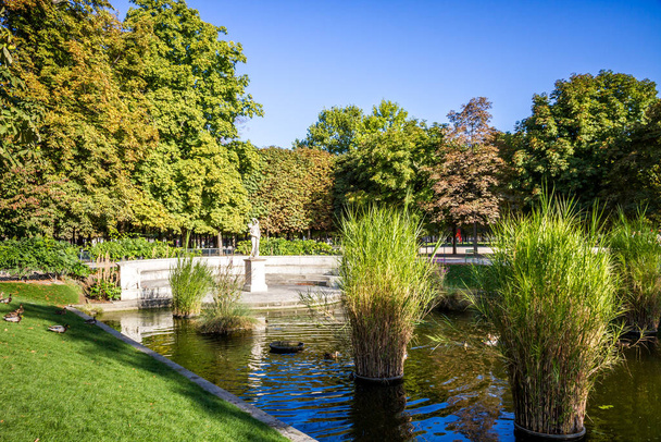 Tuileries Garden, Paris, France - Foto, Imagen