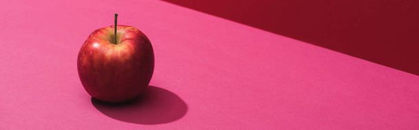 čerstvé šťavnaté jablko na červeném a růžovém pozadí, panoramatický záběr - Fotografie, Obrázek