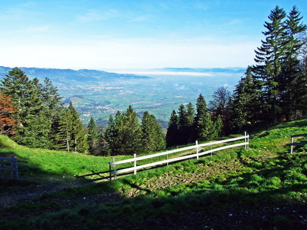 Vue sur la vallée du Rhin (Rheintal) depuis la chaîne de montagnes Alpstein - Canton de Saint-Gall (SG), Suisse
 - Photo, image