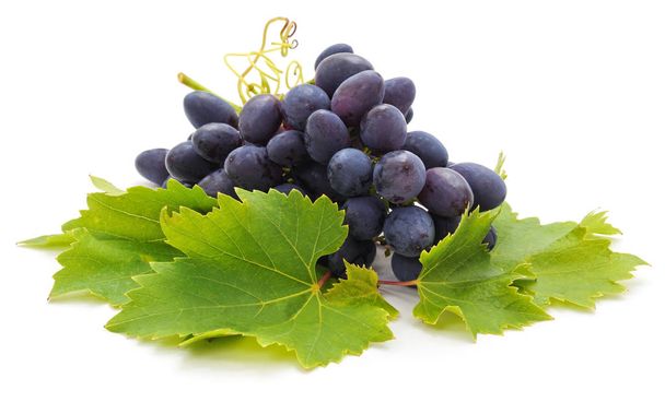 Raisins et feuilles foncés
. - Photo, image
