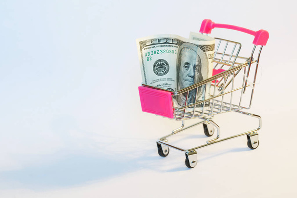 Hundred dollar bill in a supermarket trolley. The purchasing pow - Фото, изображение