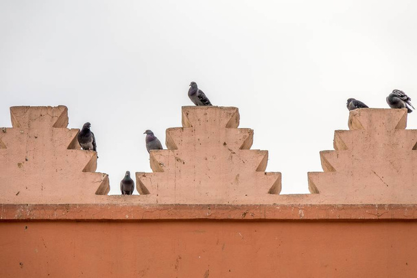A closeup shot of several black birds sitting on the roof of a building - Fotó, kép
