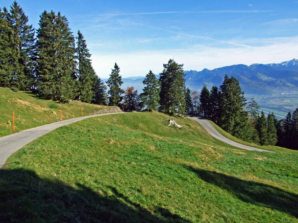 Подорожі та походи по схилах гірського масиву Альпштейн і в долині річки Рейн (Рейнталь) - кантон Санкт-Галлен (Сг), Швейцарія. - Фото, зображення