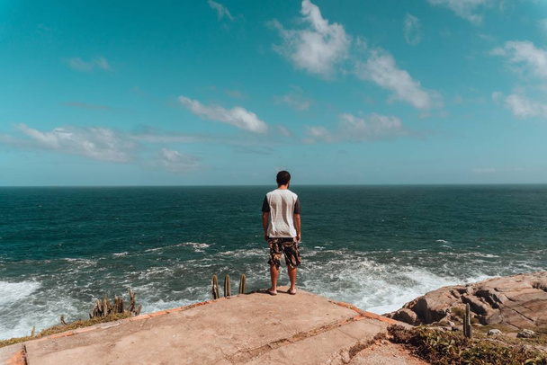 Man standing on the rocks surrounded by greenery and the sea under sunlight and a blue sky - Fotó, kép