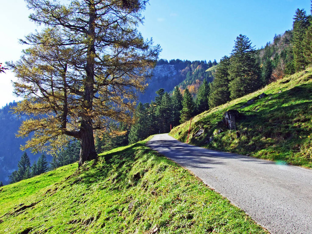 Sentiers pédestres et pédestres sur les flancs du massif montagneux d'Alpstein et dans la vallée du Rhin (Rheintal) - Canton de Saint-Gall (SG), Suisse
 - Photo, image