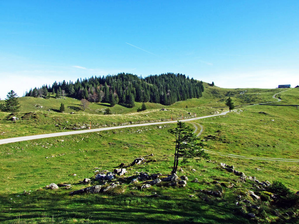 Alpages et prairies alpines sur les flancs du massif alpin d'Alpstein et dans la vallée du Rhin (Rheintal) - Canton de Saint-Gall (SG), Suisse
 - Photo, image