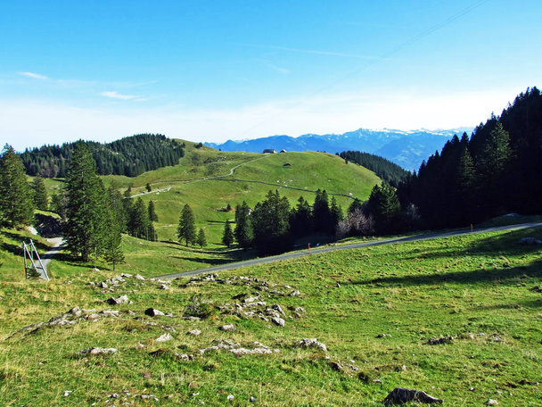 Alpine pastures and grasslands on the slopes of the Alpstein mountain massif and in the Rhine river valley (Rheintal) - Canton of St. Gallen (SG), Switzerland - Fotografie, Obrázek