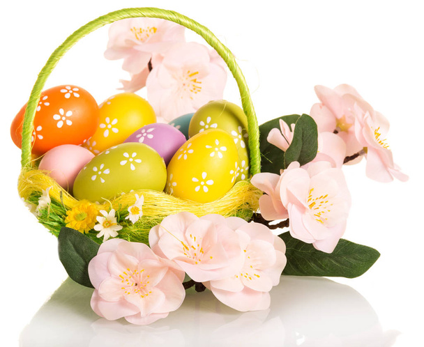 Πολύχρωμα πασχαλινά αυγά σε καλάθι και κλαδί με λουλούδια απομονωμένα. - Φωτογραφία, εικόνα