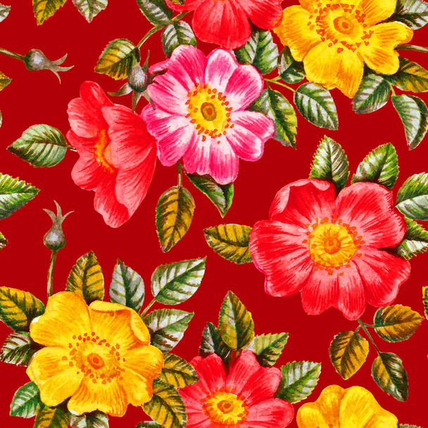 Watercolor dog rose flowers seamless pattern. - Foto, imagen