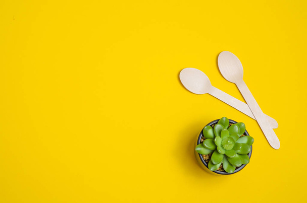 Disposable tableware from natural materials, wooden spoons and succulent, Eco-friendly. Wooden spoons Eco concept on yellow background. Copy space. Eco pine wood spoons.  - Foto, afbeelding