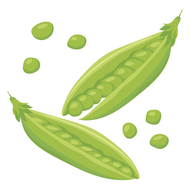 Peas. Vegetables. Natural food and healthy eating. Flat vector illustration isolated on white background. - Vector, Image