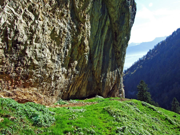 Alpstein hegylánc és a Rajna völgyének (Rheintal) kövei és sziklái - St. Gallen kanton (Sg), Svájc - Fotó, kép