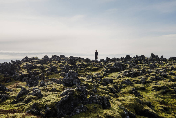 beautiful panoramic view of young man standing on plain of Iceland mountains - 写真・画像