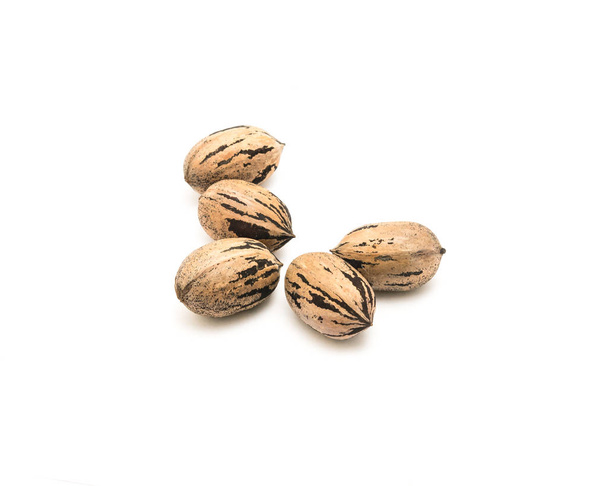 Studio shot heap of raw organic pecan nuts in-shell isolated on white - Фото, изображение